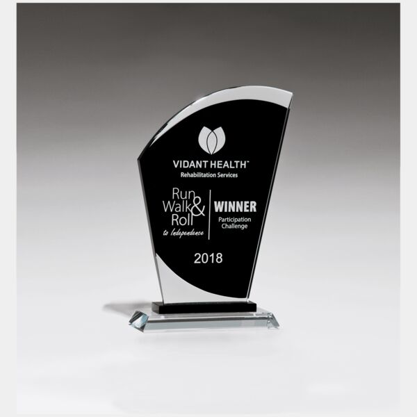 5 1/8" x 8" Sail Shaped Glass Award with Center Thumbnail