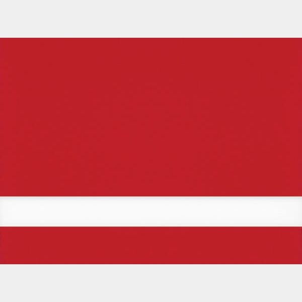 24" x 24" x 1/16" / Matte Duets Laser XT Plastic with Orafol Adhesive Thumbnail