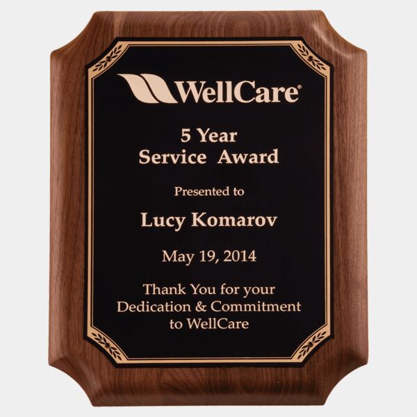 7" x 8" American Plaque with Border LaserFX Plate Thumbnail