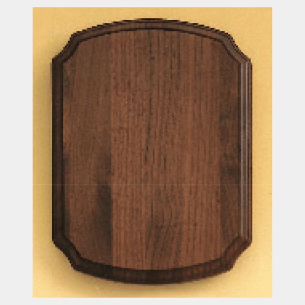 10 1/2" x 13" Airflyte American Plaque Thumbnail