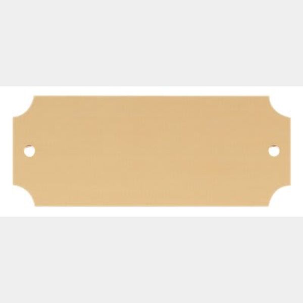 2 1/2" x 1" Satin Brass Perpetual Plate Thumbnail